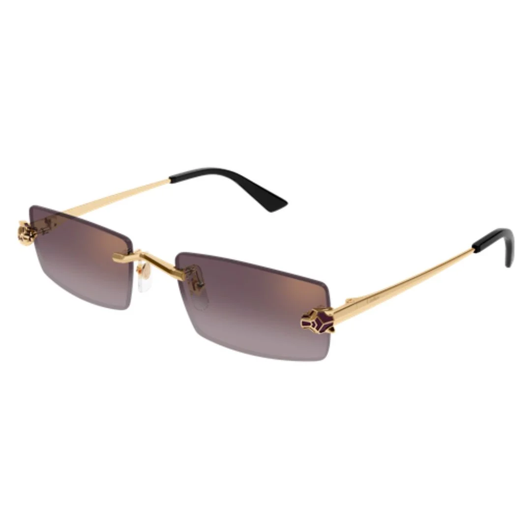 CARTIER CT0598S