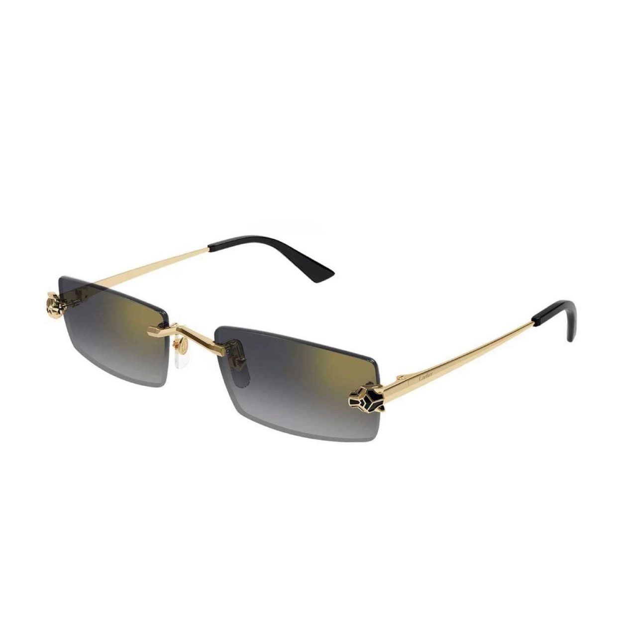 CARTIER CT0598S