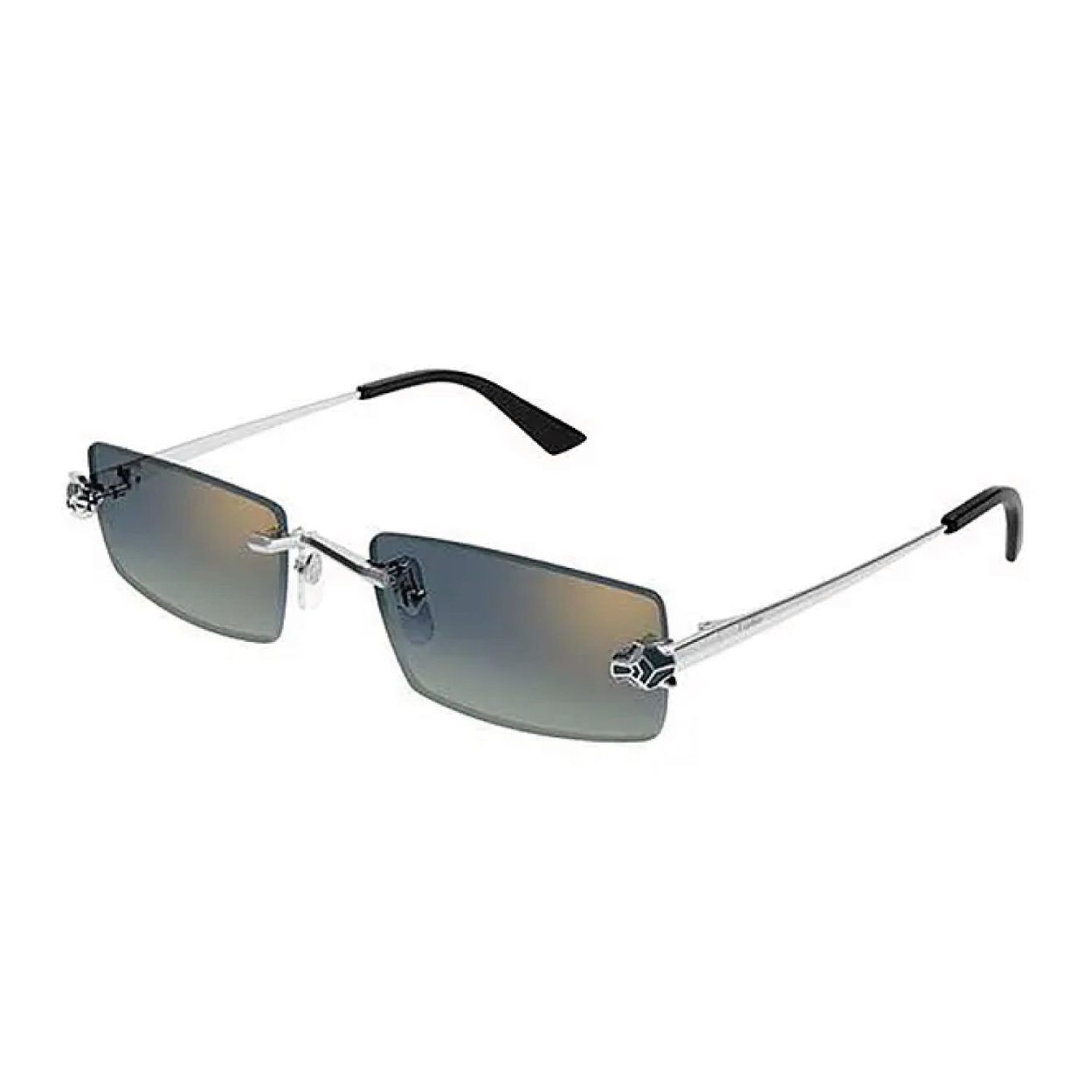 CARTIER CT0598S