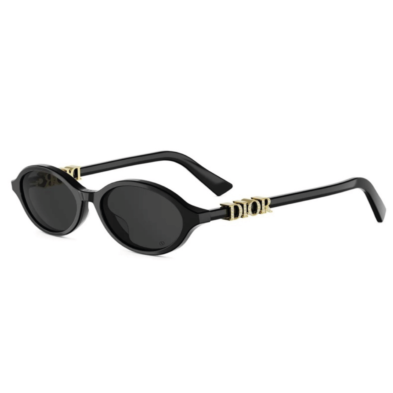 Dior Treasure R1I 10A0